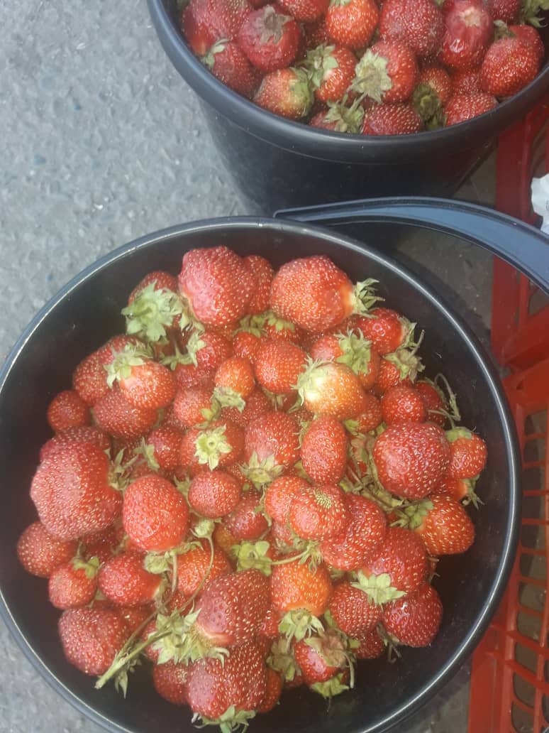 IMG 20190712 WA0017