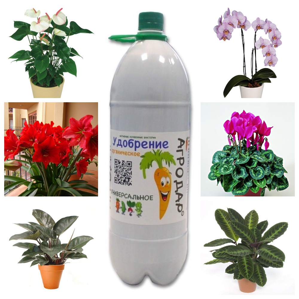 agr