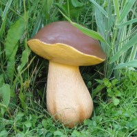 343_8e394borovik_dlya_sayta