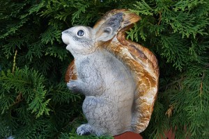 DSC00095
