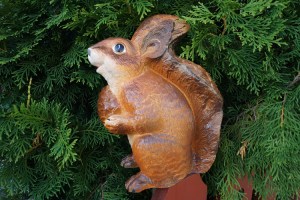 DSC00101
