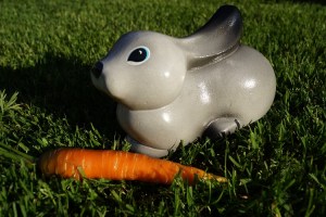 DSC00108