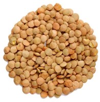 chechevitsa