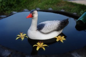 gys