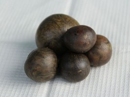 propolis1