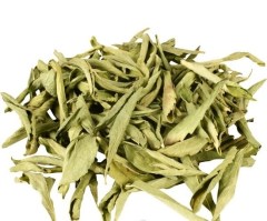 stevia